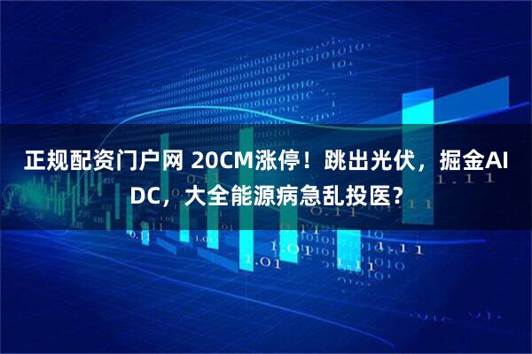 正规配资门户网 20CM涨停！跳出光伏，掘金AIDC，大全能源病急乱投医？